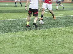 麦卡利斯特,转会身价飙,升至,拼搏在线彩神通,彩票平台,高频彩票,在线投注,快速开奖